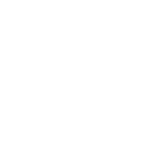studioDUAL
